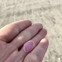 坂ノ下ビーチの写真・動画_image_274633