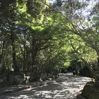 鎌倉文学館の写真・動画_image_274641