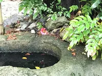 瑞宝寺公園の写真・動画_image_274676