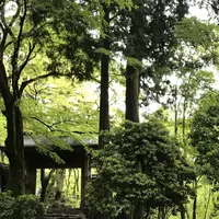 瑞宝寺公園の写真・動画_image_274677