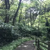 三軒家砲台跡の写真・動画_image_274912