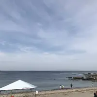観音崎公園の写真・動画_image_274914