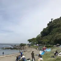 観音崎公園の写真・動画_image_274915