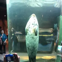 旭川市 旭山動物園の写真・動画_image_275511