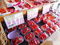 百果園の写真・動画_image_275711