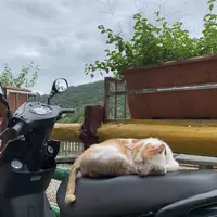 十分老街の写真・動画_image_275827