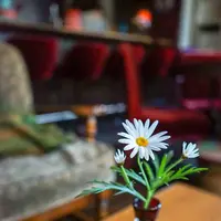 コーナーハウスの写真・動画_image_275844