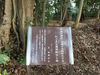 畝尾都多本神社の写真・動画_image_275888