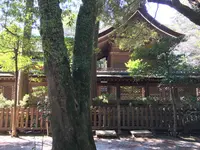 伊弉諾神宮の写真・動画_image_276065
