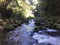 天安河原の写真・動画_image_276069