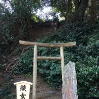宗像大社中津宮の写真・動画_image_276083