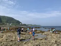 シークロップダイビングスクールの写真・動画_image_276400