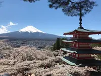 新倉山浅間公園の写真・動画_image_276410