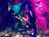 日原鍾乳洞の写真・動画_image_276456