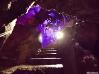 日原鍾乳洞の写真・動画_image_276457