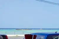 なかむらそばの写真・動画_image_276479