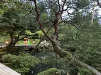 兼六園の写真・動画_image_276728