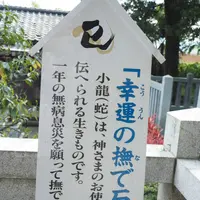 毛谷黒龍神社の写真・動画_image_276793