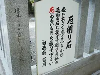 毛谷黒龍神社の写真・動画_image_276796