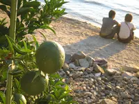 シャーレ水ケ浜の写真・動画_image_27683