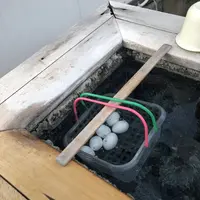 小野川温泉の写真・動画_image_276858