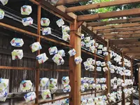 熊野大社の写真・動画_image_276992