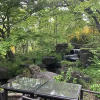 カフェ&ガーデン しらさぎ邸の写真・動画_image_277062