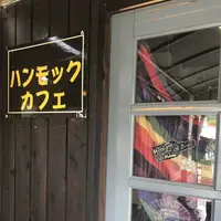 フィンランドの森の写真・動画_image_277074