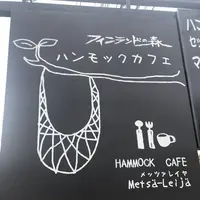 フィンランドの森の写真・動画_image_277076
