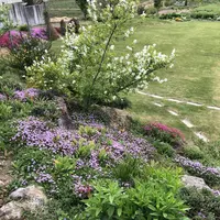 ティーガーデン ナチュール （TEA GARDEN NATURE） の写真・動画_image_277093