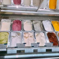 雨ノ日と雪ノ日の写真・動画_image_277122