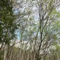 雨ノ日と雪ノ日の写真・動画_image_277125