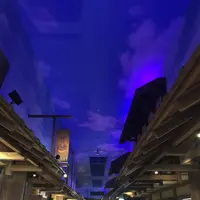 東北自動車道・羽生パーキングエリア下りの写真・動画_image_277163