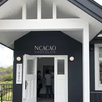 エヌカカオチョコレートの写真・動画_image_277175