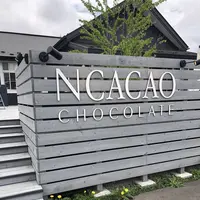 エヌカカオチョコレートの写真・動画_image_277176