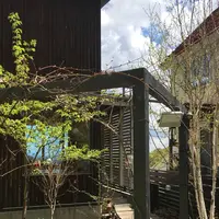 円山CAFE サカノウエの写真・動画_image_277311