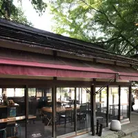 熊野大社の写真・動画_image_277425