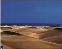 グラン・カナリア島の写真・動画_image_277607