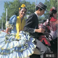 スペイン広場の写真・動画_image_277611