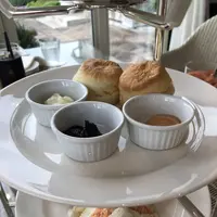 ティーガーデン ナチュール （TEA GARDEN NATURE） の写真・動画_image_277684