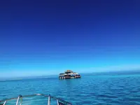 cloud9の写真・動画_image_277716