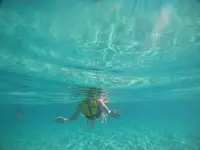 cloud9の写真・動画_image_277718