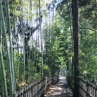 神峰神社の写真・動画_image_277817