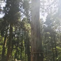 御岩神社の写真・動画_image_277822