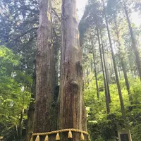 御岩神社の写真・動画_image_277824
