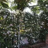ローザンベリー多和田の写真・動画_image_278111
