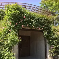 ローザンベリー多和田の写真・動画_image_278112