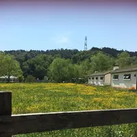 ローザンベリー多和田の写真・動画_image_278113