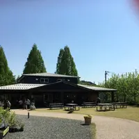 大地のレストランの写真・動画_image_278130
