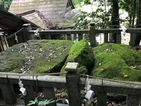 赤猪岩神社の写真・動画_image_278294